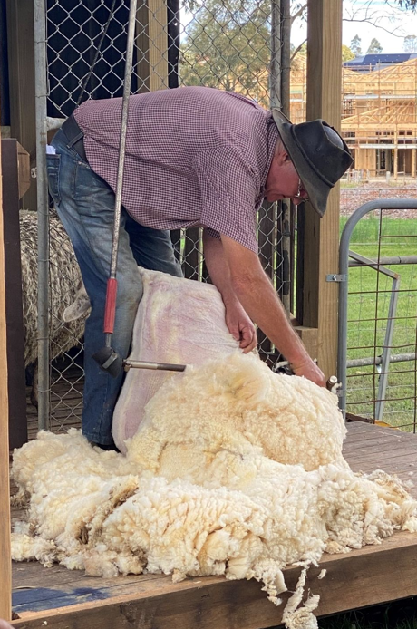 A Day on the Farm at Gledswood