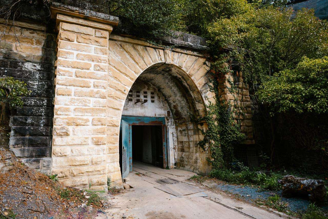 Exotic Mushroom Tunnel Tour – Southern Highlands | Coach Holidays & Tours