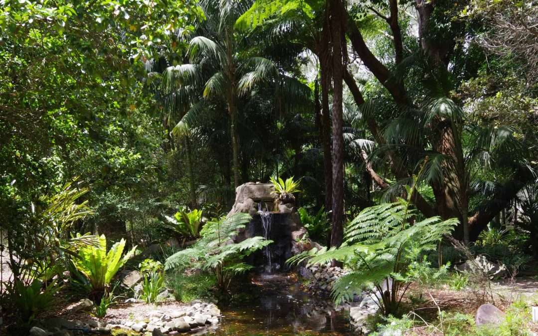 Hunter Region Botanic Gardens Discovery